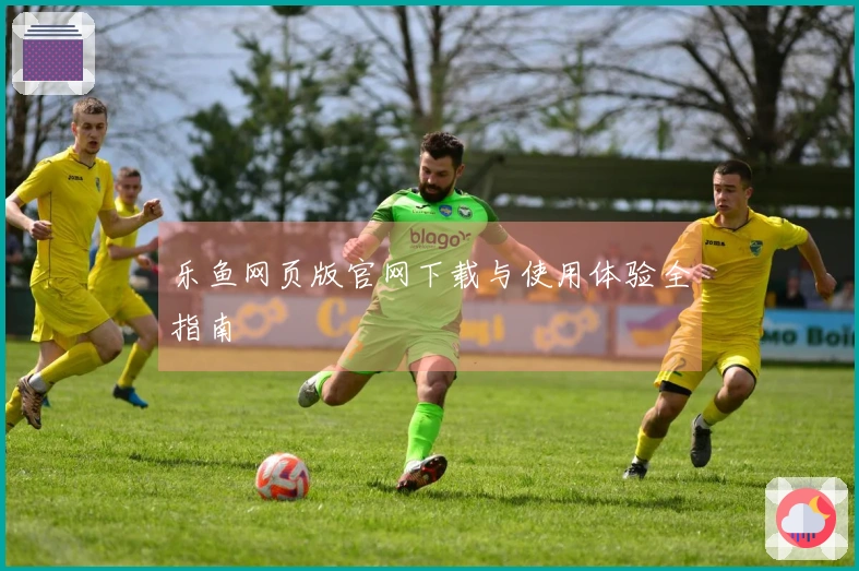 乐鱼网页版官网下载与使用体验全指南