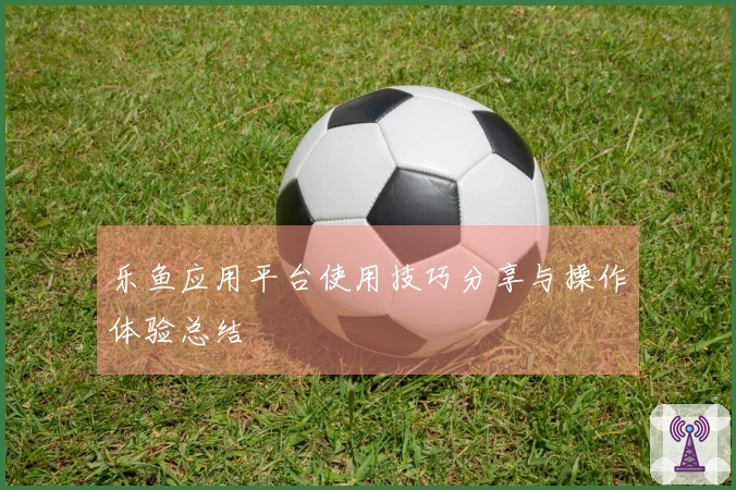 乐鱼应用平台使用技巧分享与操作体验总结