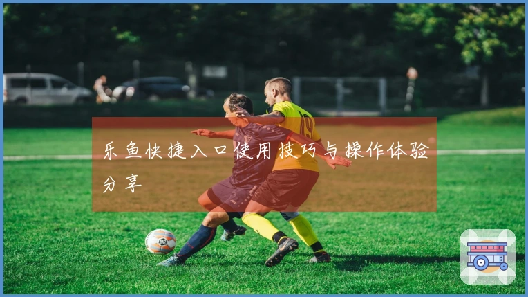 乐鱼快捷入口使用技巧与操作体验分享