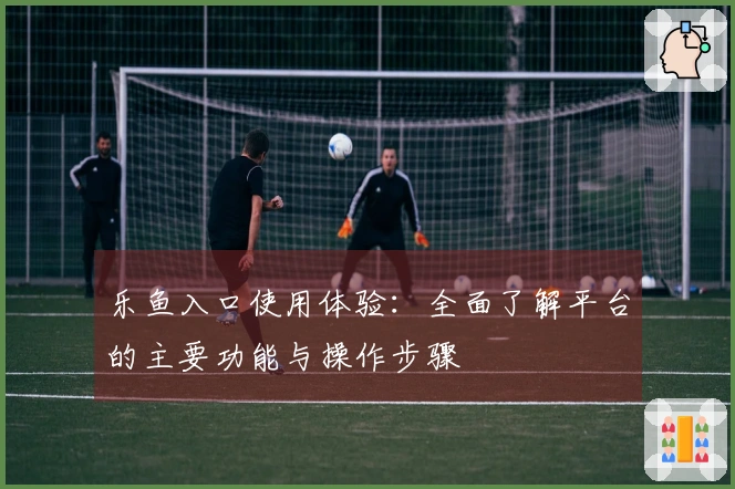 乐鱼入口使用体验：全面了解平台的主要功能与操作步骤