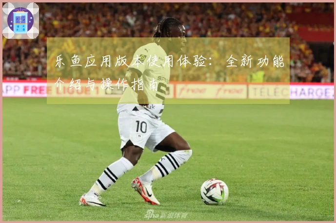 乐鱼应用版本使用体验：全新功能介绍与操作指南