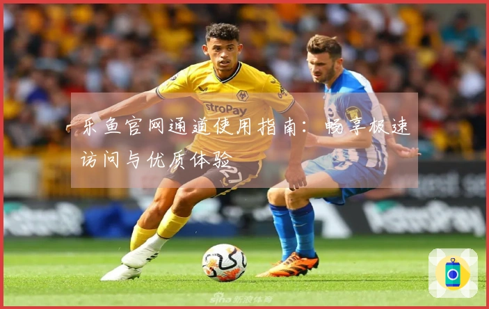 乐鱼官网通道使用指南：畅享极速访问与优质体验