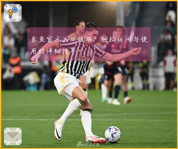 乐鱼官方入口说明：轻松访问与使用的详细指导